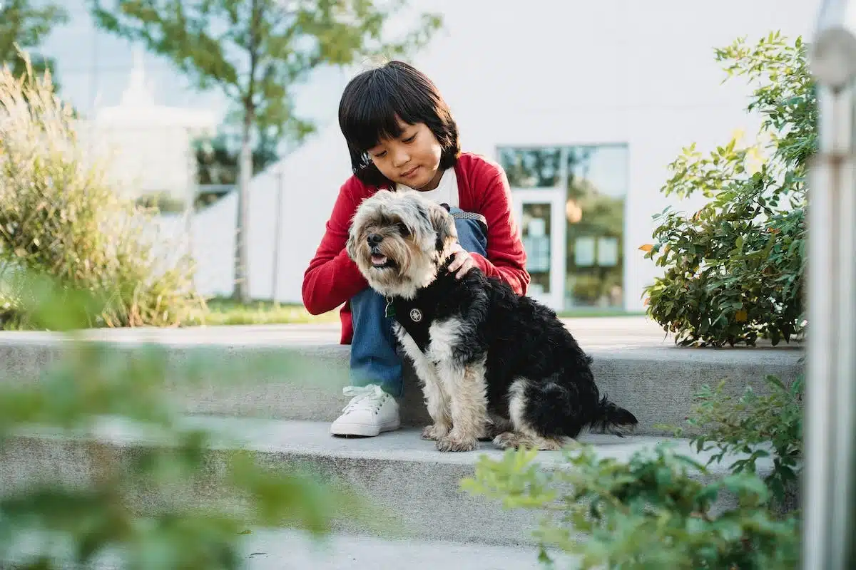 enfant chien