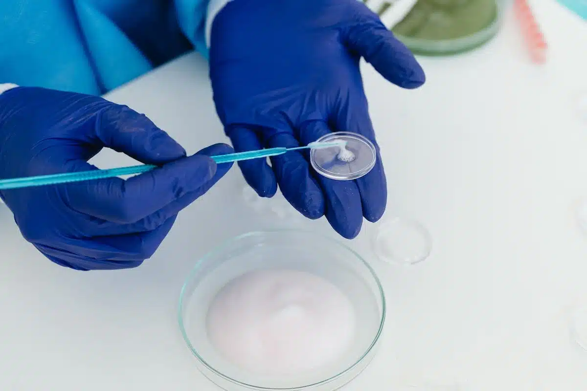 laboratoire  animaux