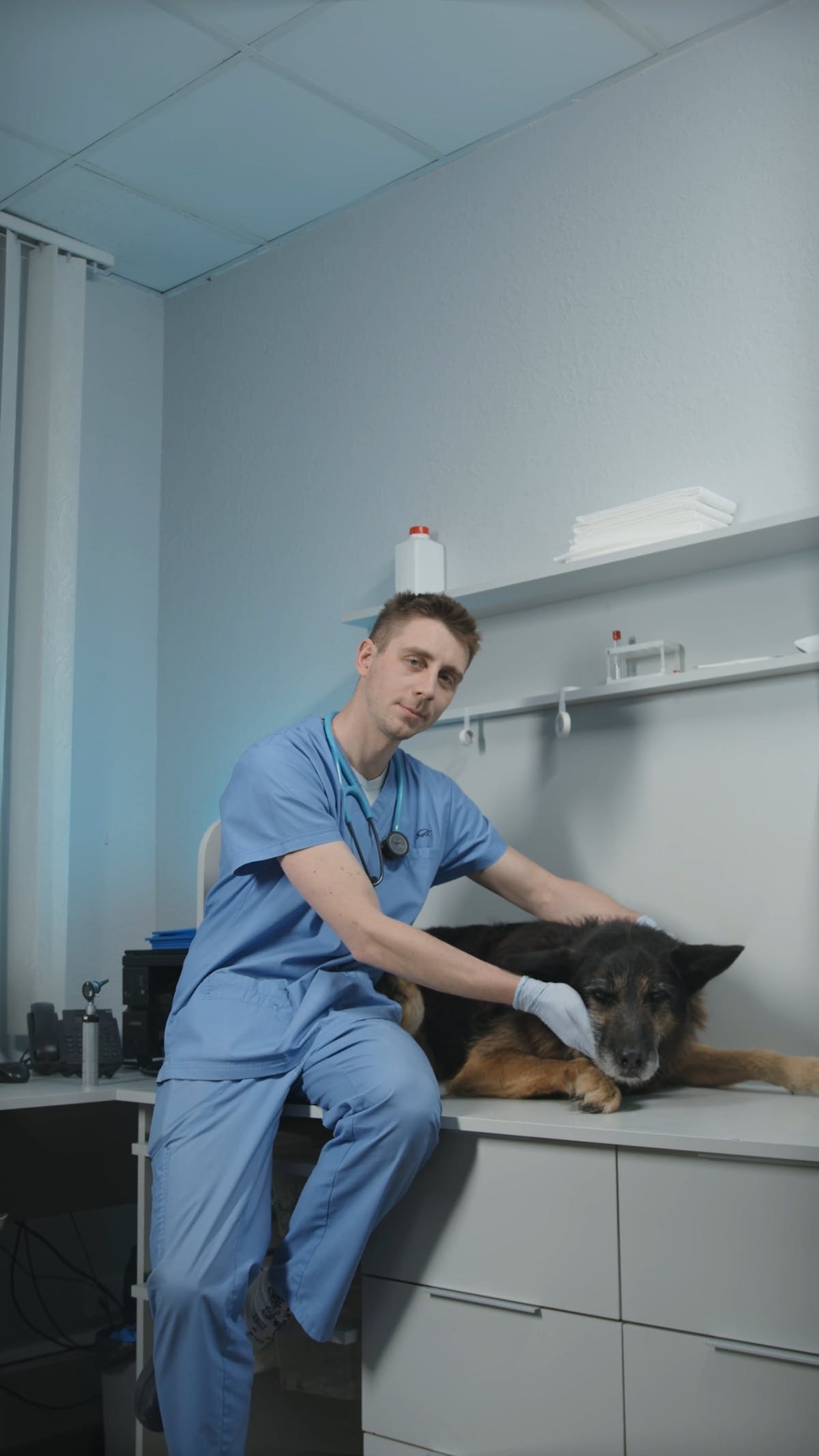 science vétérinaire