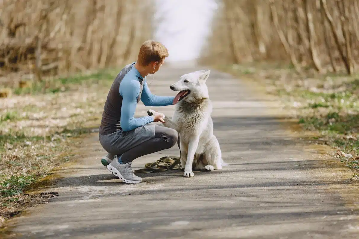 homme chien