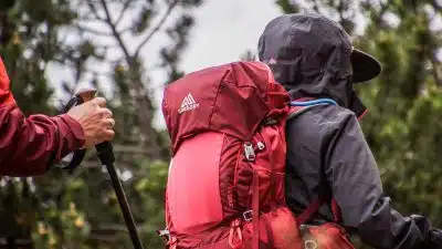 Acheter le bon sac à dos pour votre chien